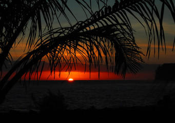 模特T台步骤及T台训练技巧