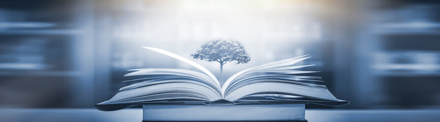 模特T台步骤及T台训练技巧