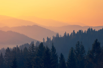 买十八层楼房到底好不好不适合住18层的属相有哪些