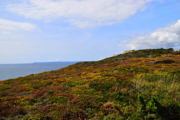 思念、想念、怀念、惦念如何区别？