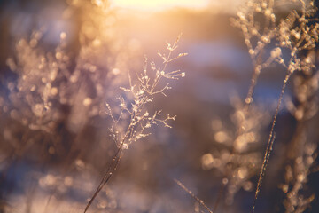 思念、想念、怀念、惦念如何区别？