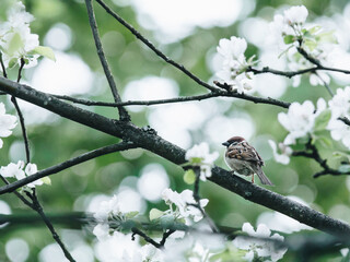 模特T台步骤及T台训练技巧