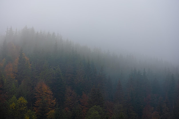 水泥在零下多少度会被冻坏