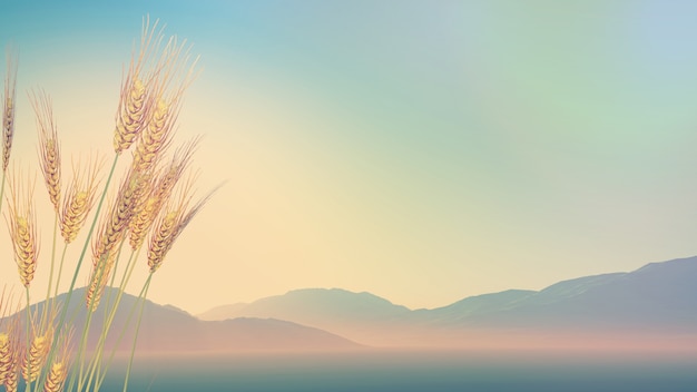 原神10大不值得培养角色