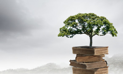 原神10大不值得培养角色