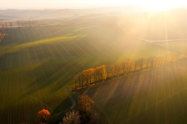 渭南市高中排名前十的学校